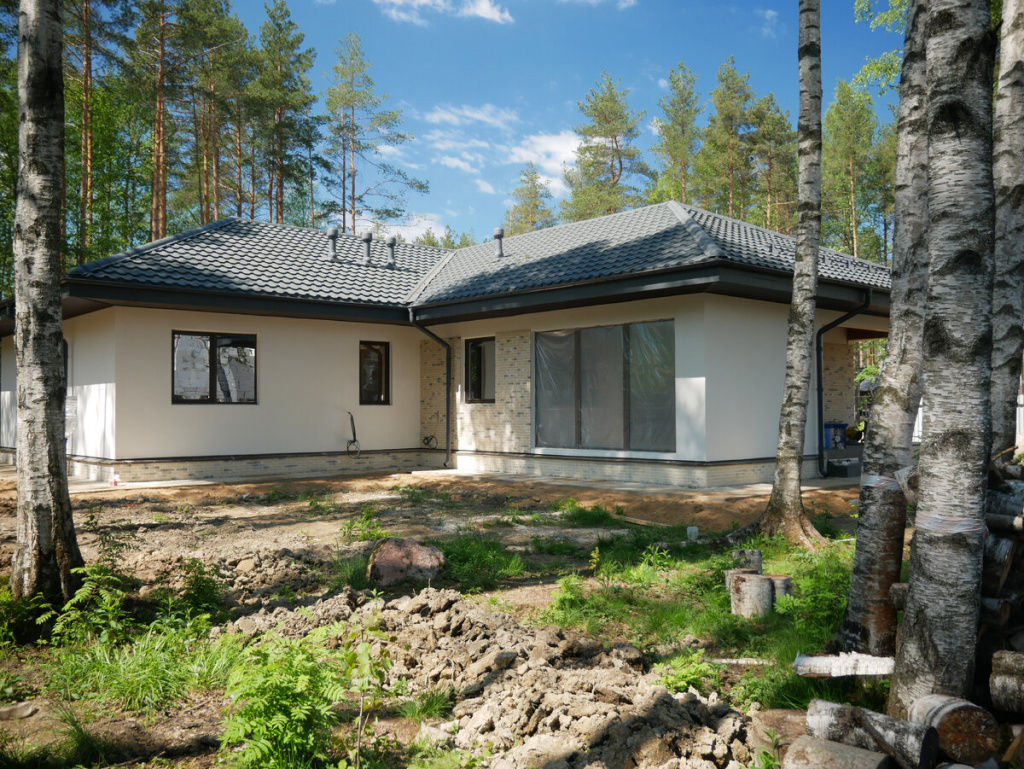 novoe-toksovo-21.jpg